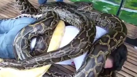 Planes sorprendentes para disfrutar de unas vacaciones navideñas diferentes Planes sorprendentes para disfrutar de unas vacaciones navideñas diferentes