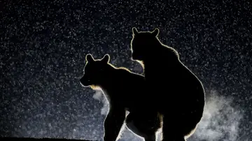 'Atrapados en el acto' por Bence Mate 'Atrapados en el acto' por Bence Mate