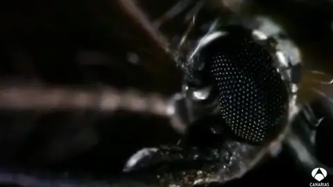 00809 00809