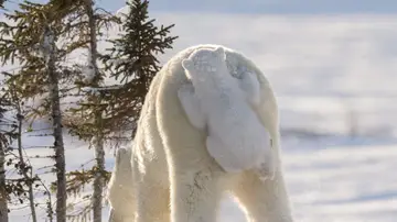 'Colándose en el medio de transporte' por Daisy Gilardini 'Colándose en el medio de transporte' por Daisy Gilardini