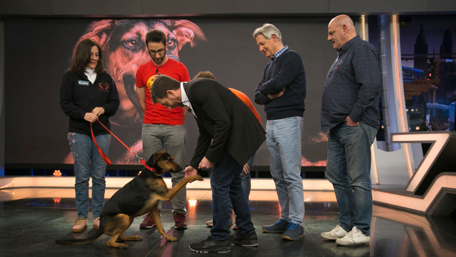 &iquest;Quieres aumentar la familia? Adopta a Mali, una perrita luchadora que te enternecer&aacute;