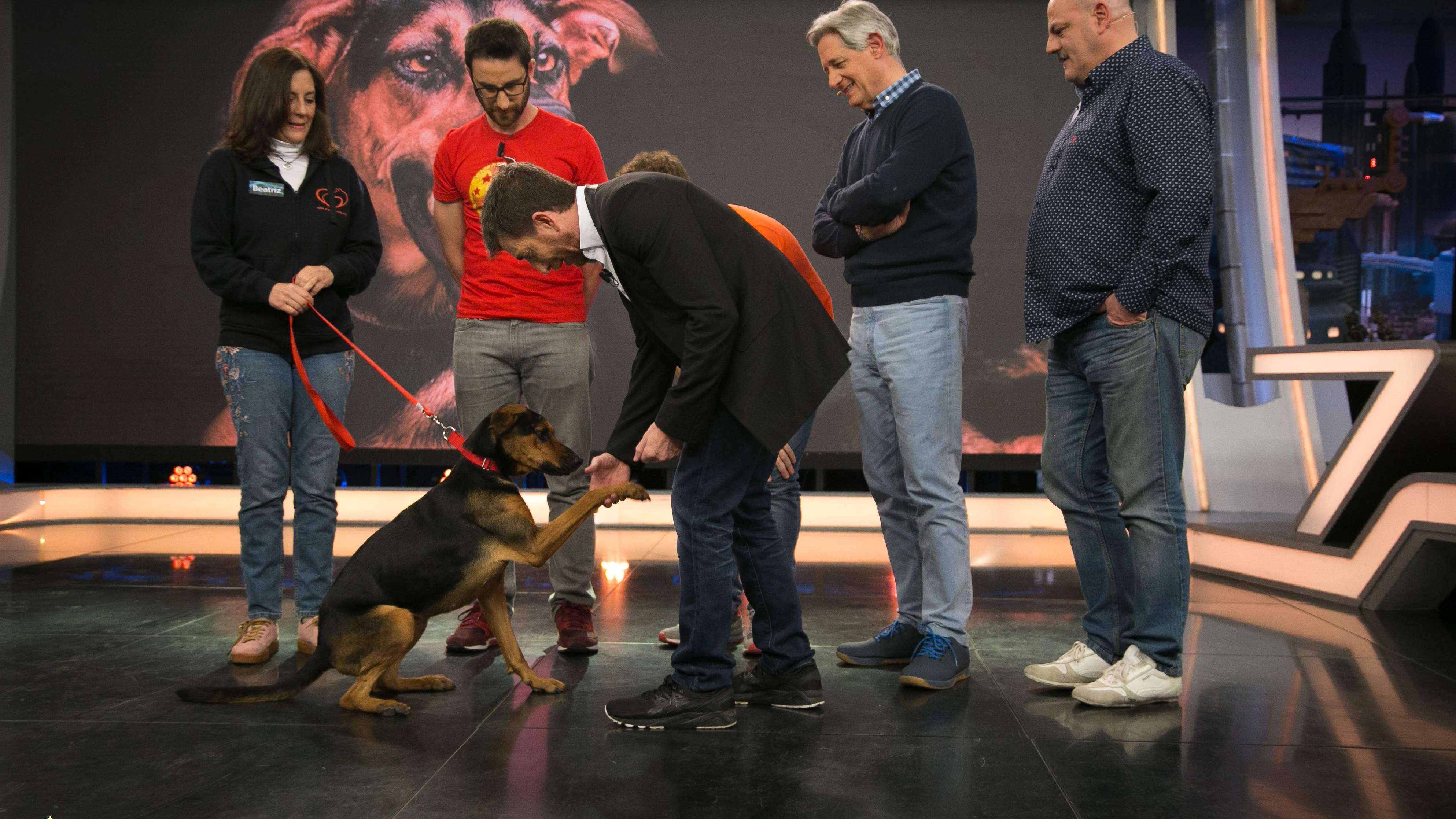 ¿Quieres aumentar la familia? Adopta a Mali, una perrita luchadora que te enternecerá
