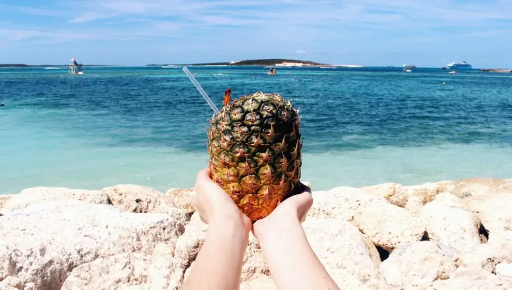 Oh, piña, piñita, permite que todo esto cuaje. Oh, piña, piñita, permite que todo esto cuaje.