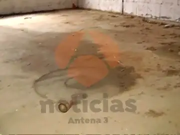 Imágenes en exclusiva del interior de la nave de Asados donde apareció el cuerpo de Diana Quer Imágenes en exclusiva del interior de la nave de Asados donde apareció el cuerpo de Diana Quer
