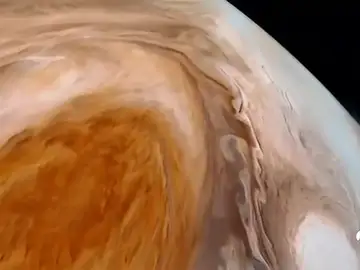 juno juno