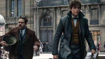 Eddie Redmayne en 'Animales Fantásticos y dónde encontrarlos'