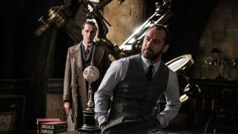 Jude Law como Albus Dumbledore