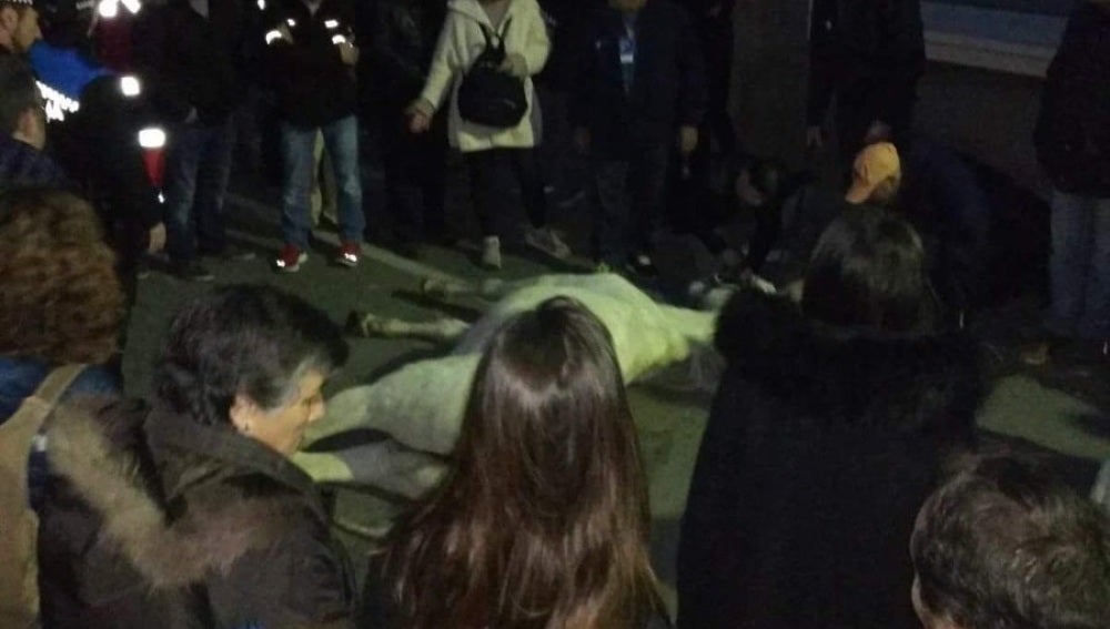 Imagen del caballo muerto durante la cabalgata de Reyes en Terrassa