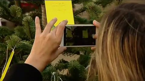 Òmnium habilita 'árboles amarillos' para apoyar a Junqueras Òmnium habilita 'árboles amarillos' para apoyar a Junqueras