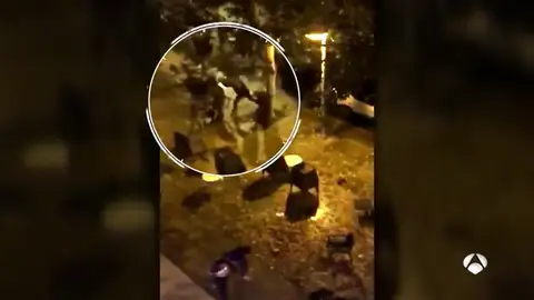 Al menos 23 detenidos por una pelea de ultras de Sevilla y Betis que se habían citado previamente Al menos 23 detenidos por una pelea de ultras de Sevilla y Betis que se habían citado previamente