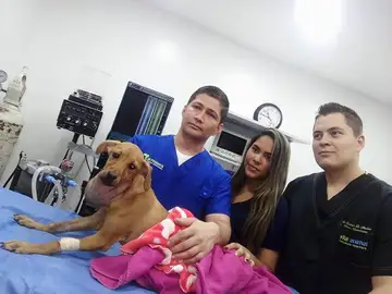 Lupita en el centro veterinario donde ha sido operada Lupita en el centro veterinario donde ha sido operada