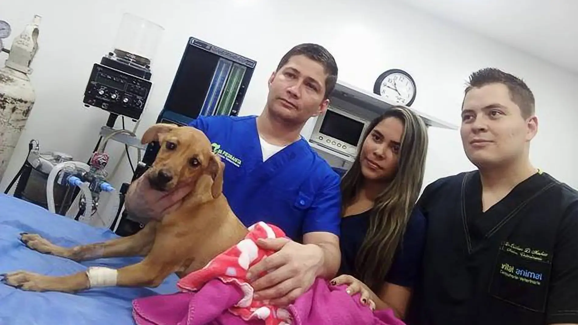 Lupita en el centro veterinario donde ha sido operada Lupita en el centro veterinario donde ha sido operada
