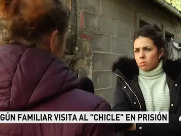 familia chicle familia chicle