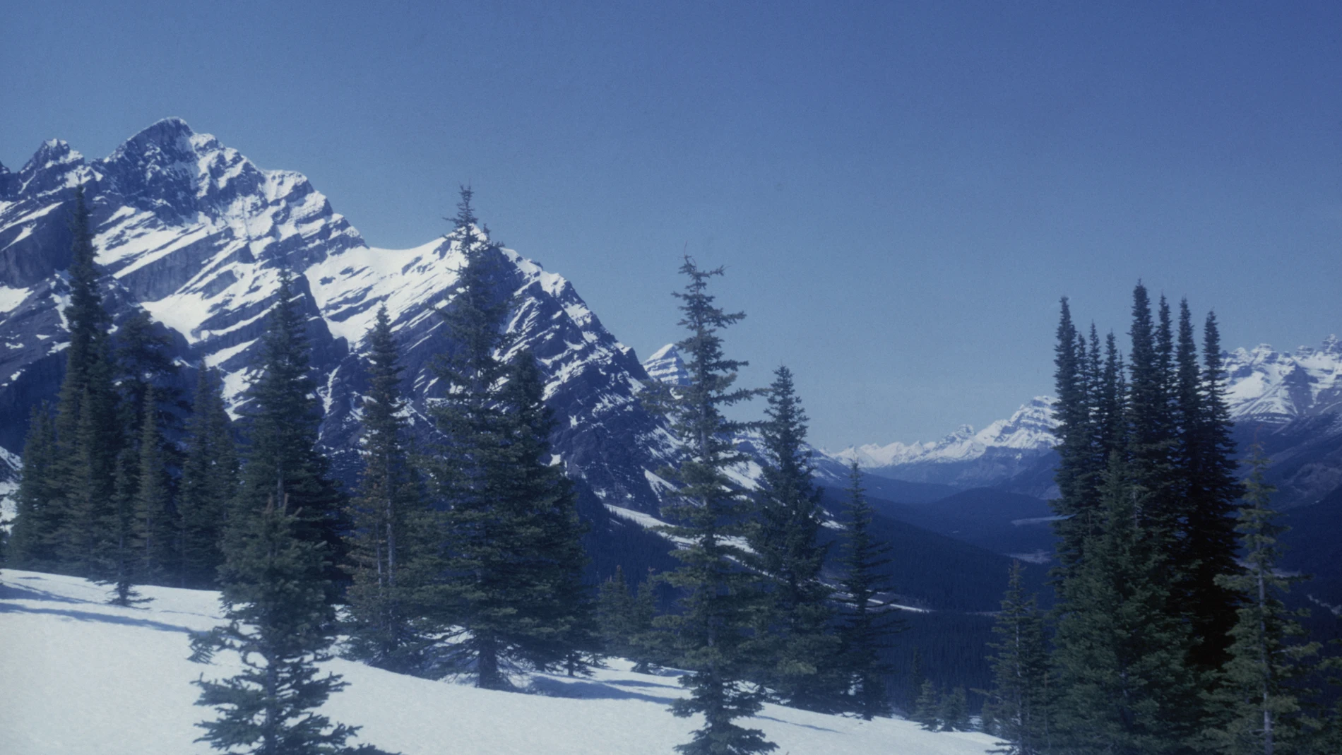 Montañas Rocosas de Canadá Montañas Rocosas de Canadá