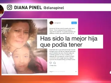 La madre de Diana Quer rompe su silencio: "No puedo expresar con palabras el dolor que siento dentro de mí" La madre de Diana Quer rompe su silencio: "No puedo expresar con palabras el dolor que siento dentro de mí"