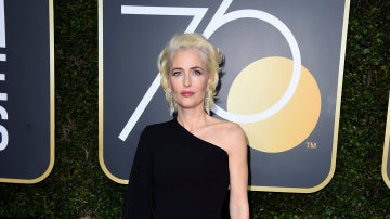 Gillian Anderson