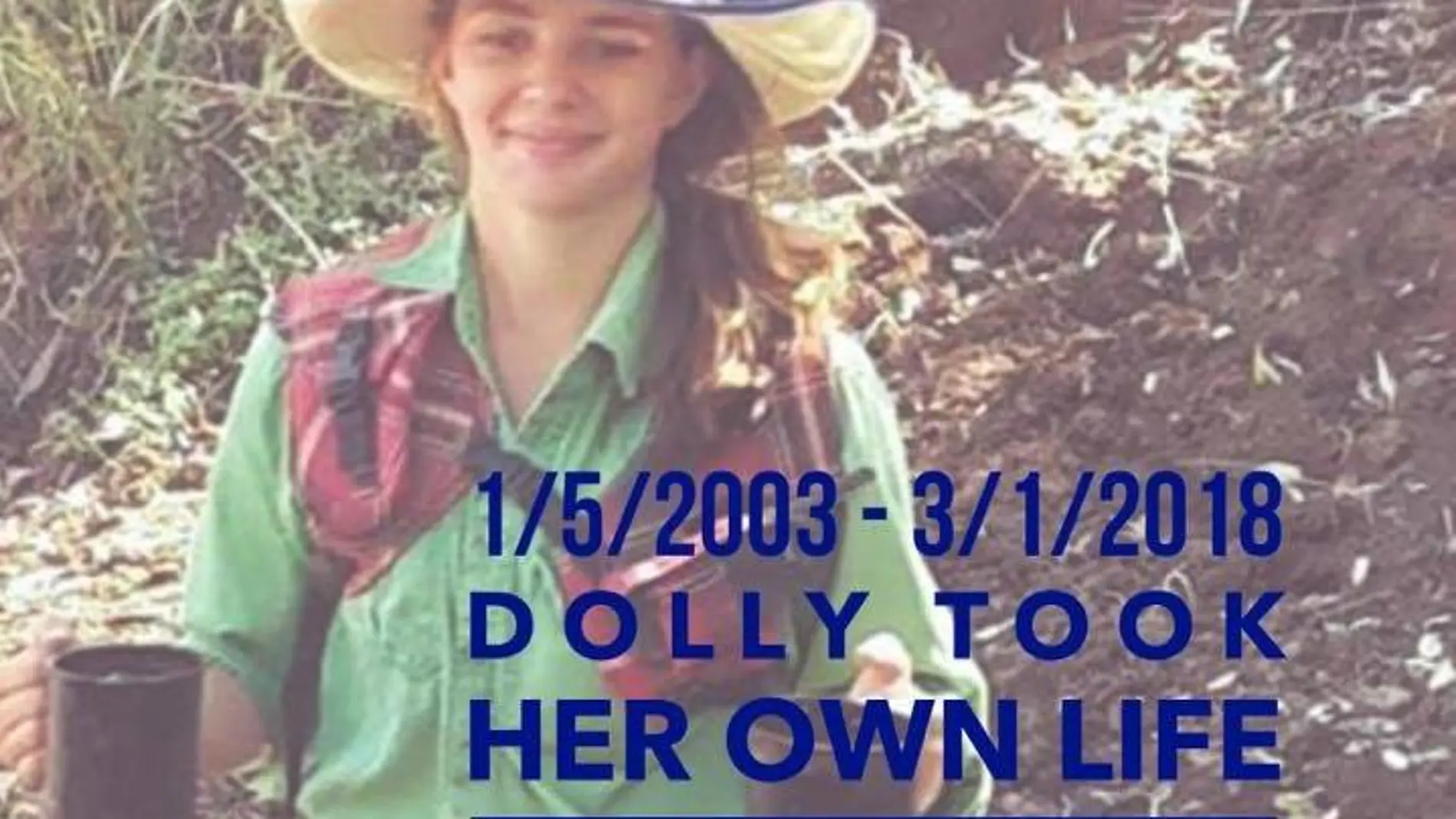 Imagen de Facebook de Dolly Imagen de Facebook de Dolly