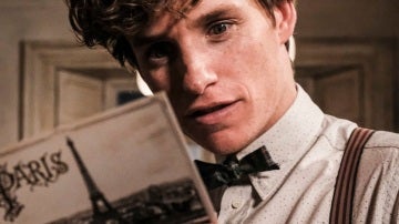 Newt Scamander en 'Animales Fantásticos 2'