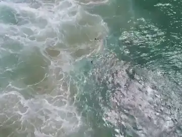 Agua Agua