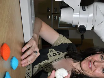 Laia Alegret Badiola Laia Alegret Badiola