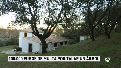 TALA_ARBOLES TALA_ARBOLES