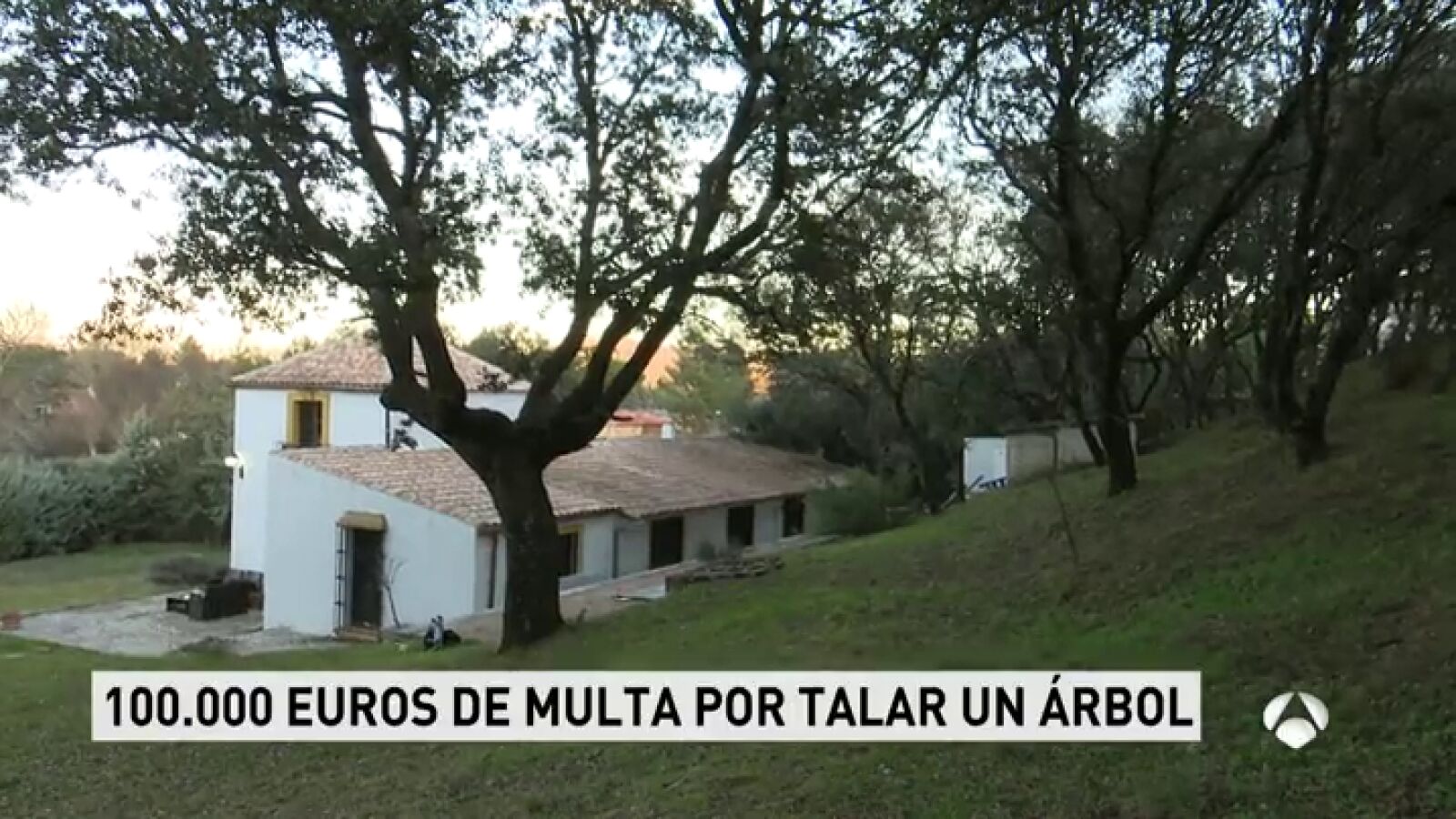 Un vecino de El Escorial se enfrenta a una multa de 100.000 euros por talar un árbol de su parcela sin permiso municipal