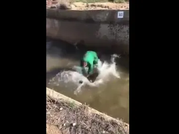 El hombre ahogando al jabalí El hombre ahogando al jabalí