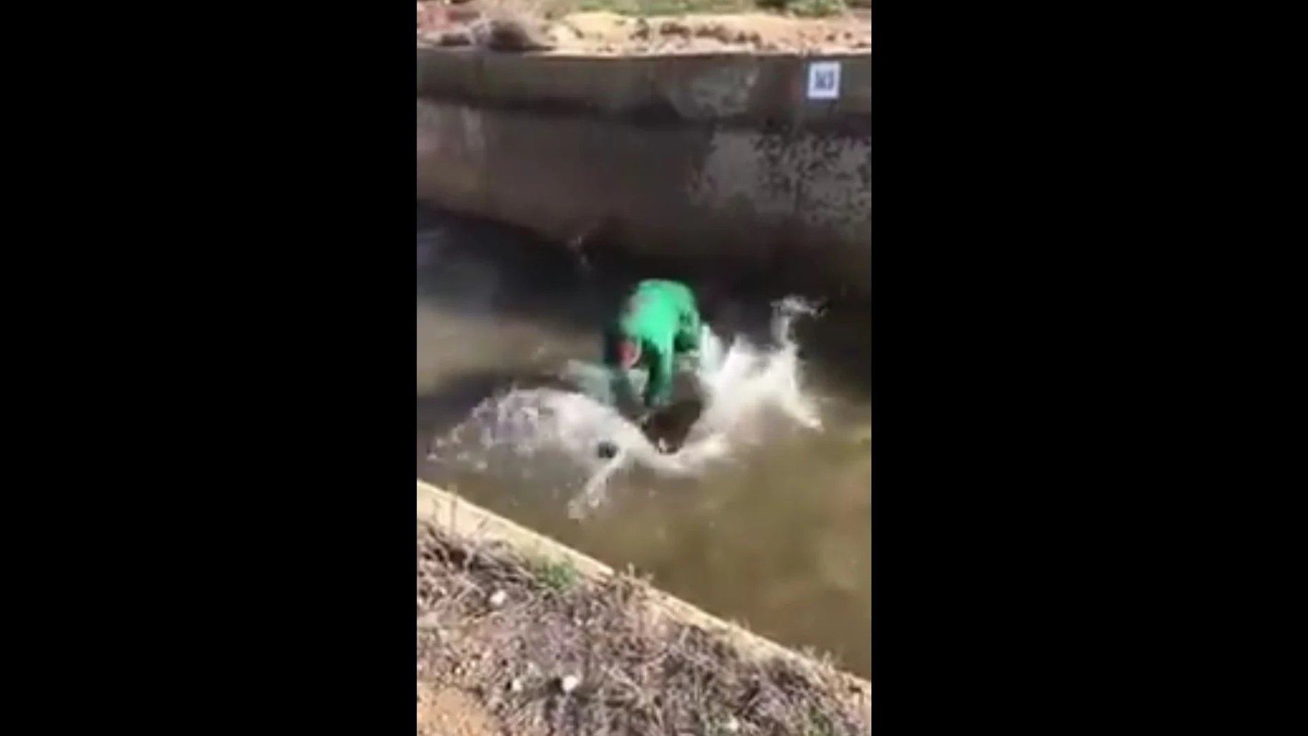 El hombre ahogando al jabalí El hombre ahogando al jabalí