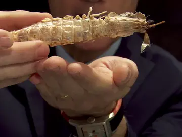 El tres estrellas michelín, Ángel León, presenta en Madrid Fusión su última propuesta El tres estrellas michelín, Ángel León, presenta en Madrid Fusión su última propuesta