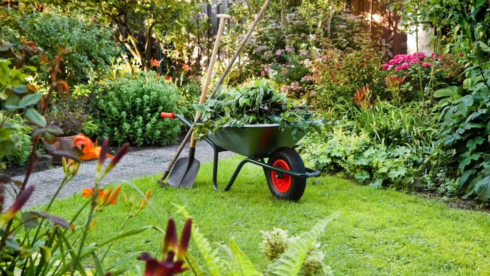 Imagen de un jardín mantenimiento jardin