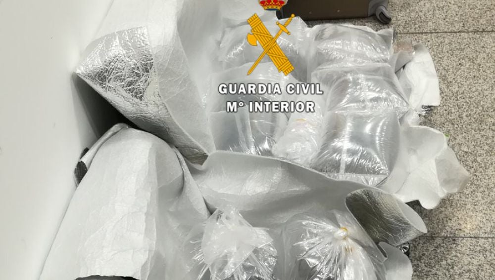 Contrabando de Angulas