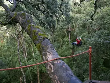 Canopy Tour Canopy Tour