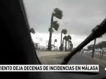 Herida una ciclista de 67 años tras ser arrastrada por el viento en el paseo marítimo de Málaga Herida una ciclista de 67 años tras ser arrastrada por el viento en el paseo marítimo de Málaga