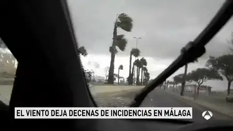 Herida una ciclista de 67 años tras ser arrastrada por el viento en el paseo marítimo de Málaga Herida una ciclista de 67 años tras ser arrastrada por el viento en el paseo marítimo de Málaga