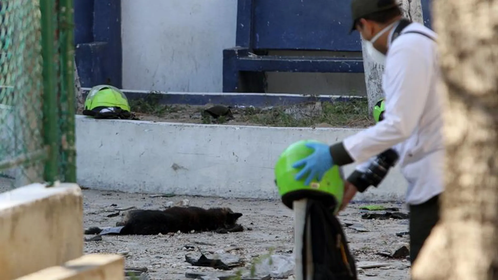 Un investigador de la policía recoge evidencias Un investigador de la policía recoge evidencias