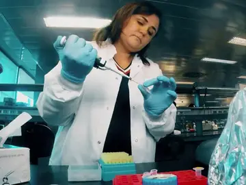 becasleonardo becasleonardo