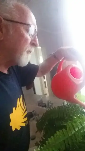 Nigel regando las plantas de su esposa Nigel regando las plantas de su esposa