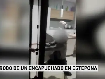 Tres ciudadanos se enfrentan a un ladrón y le retienen evitando un robo en Estepona Tres ciudadanos se enfrentan a un ladrón y le retienen evitando un robo en Estepona