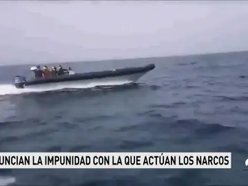 clanes narcos clanes narcos