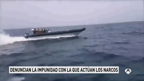 clanes narcos clanes narcos