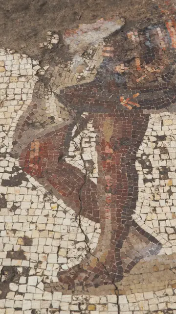 Vista del mosaico del período romano Vista del mosaico del período romano