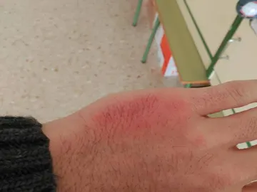VIOLENCIA EN LAS AULAS VIOLENCIA EN LAS AULAS