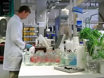 El mayor laboratorio del sur de Europa cambia de planes por el procés El mayor laboratorio del sur de Europa cambia de planes por el procés