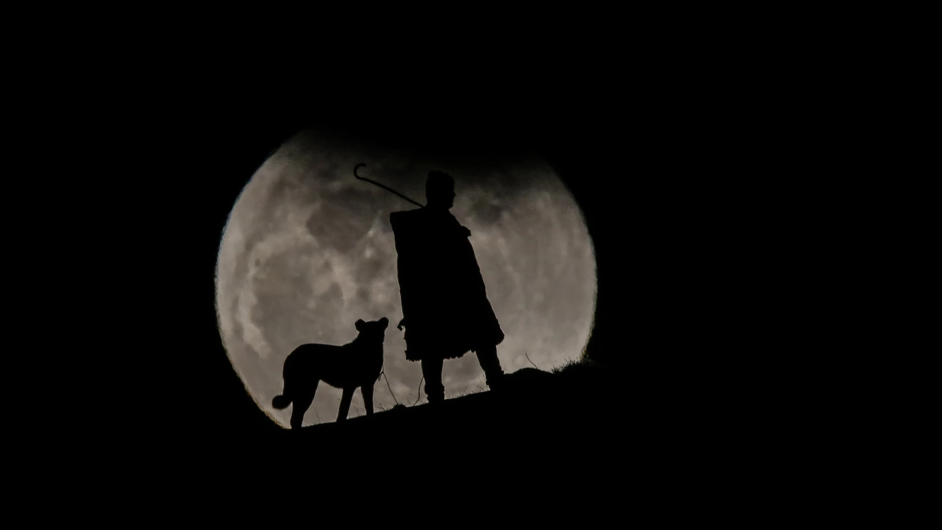 Un hombre y su perro Un hombre y su perro