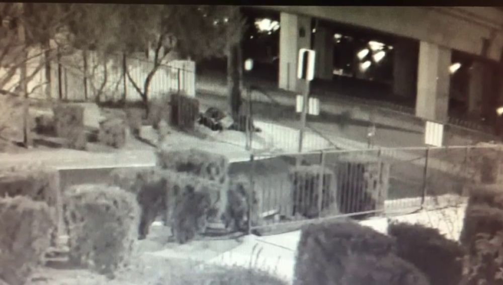 Una cámara de seguridad graba un asesinato en Las Vegas