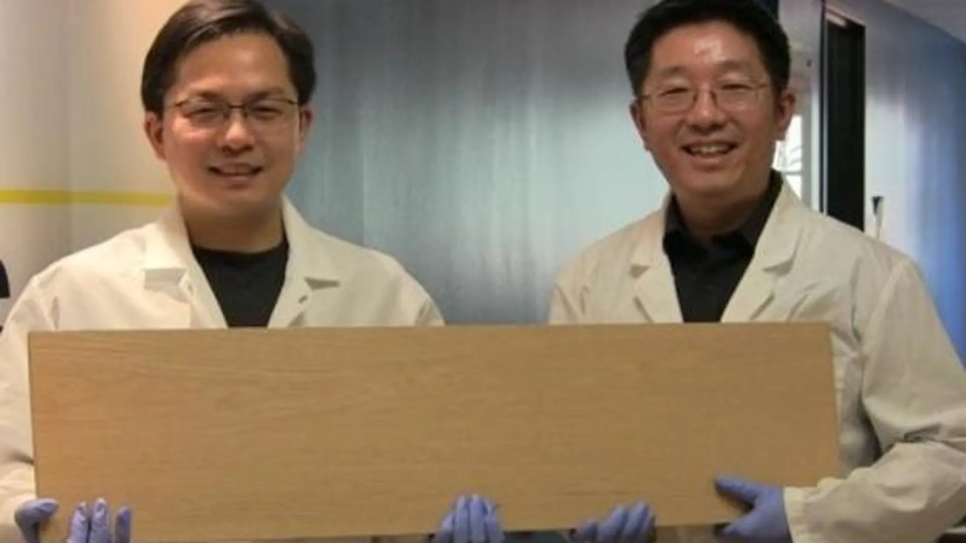 Ingenieros sostienen la madera Ingenieros sostienen la madera