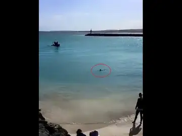Un delfín en la zona de Playa Chica, en Fuerteventura Un delfín en la zona de Playa Chica, en Fuerteventura