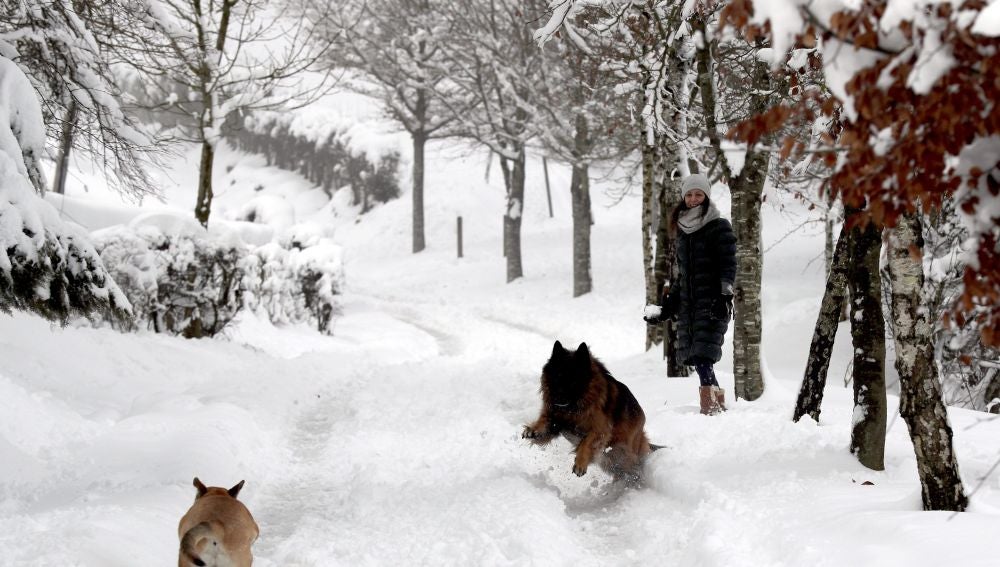 Una mujer observa a unos perros en la nieve tras la fuerte nevada que ha caído en la localidad vizcaína de Urkiola