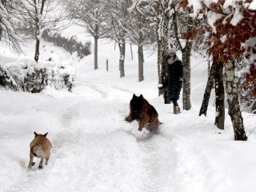 Una mujer observa a unos perros en la nieve tras la fuerte nevada que ha caído en la localidad vizcaína de Urkiola