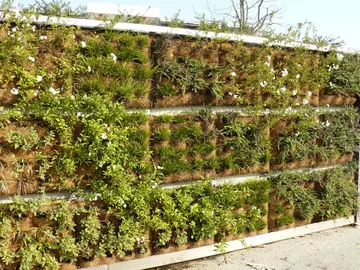 Jardín vertical modular (Civitanova Marche, Italia). Jardín vertical modular (Civitanova Marche, Italia).